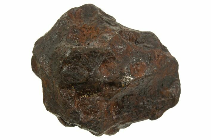 Canyon Diablo Iron Meteorite ( g) - Arizona #335977